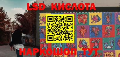 крисы Кингисепп