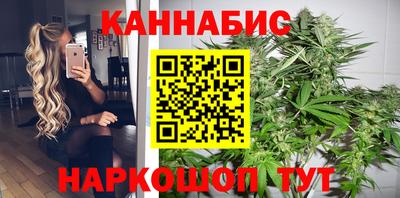крисы Кингисепп