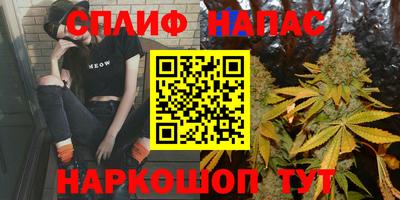 крисы Кингисепп