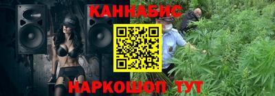 крисы Кингисепп