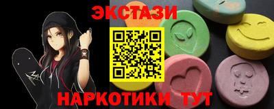 крисы Кингисепп