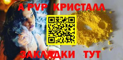 крисы Кингисепп