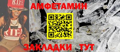 крисы Кингисепп