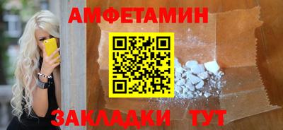 крисы Кингисепп