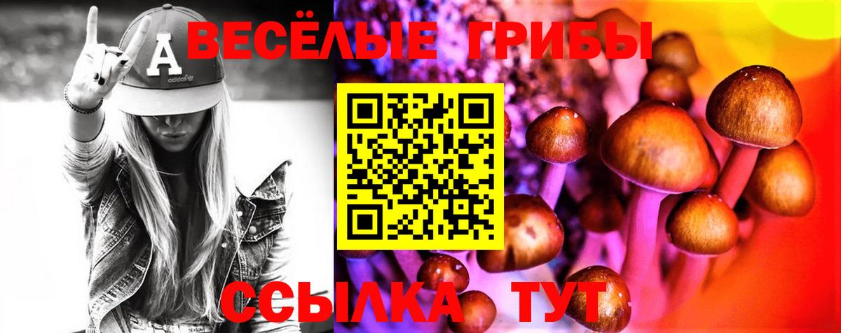 Клинцы  Галлюциногенные грибы Magic Shrooms  Вход с VPN 